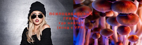 экстази Елизово