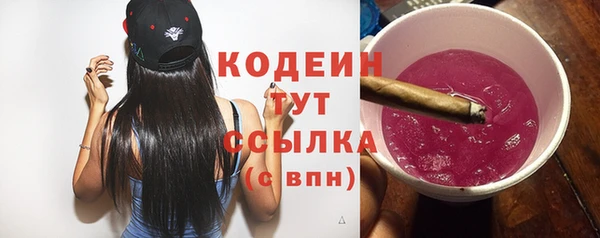 крисы Дмитриев