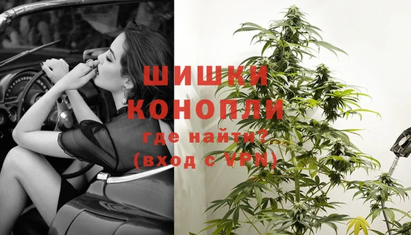 крисы Дмитриев