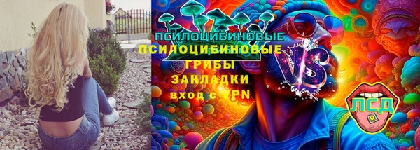 крисы Дмитриев