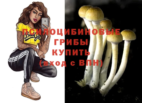а пвп мука Дмитров