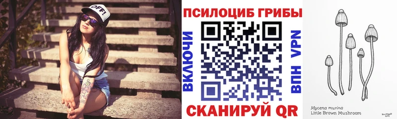 Псилоцибиновые грибы мицелий  купить закладку  Изобильный 
